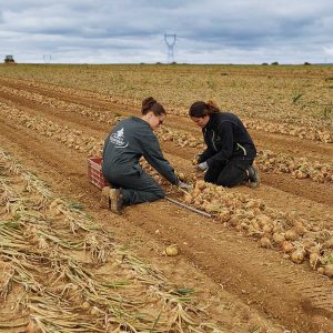 Image - Travail d'équipe